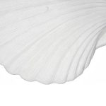 Sea Shell Wall Art, White Stone