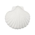Sea Shell Wall Art, White Stone