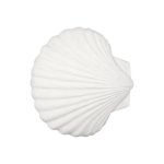 Sea Shell Wall Art, White Stone