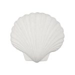 Sea Shell Wall Art, White Stone