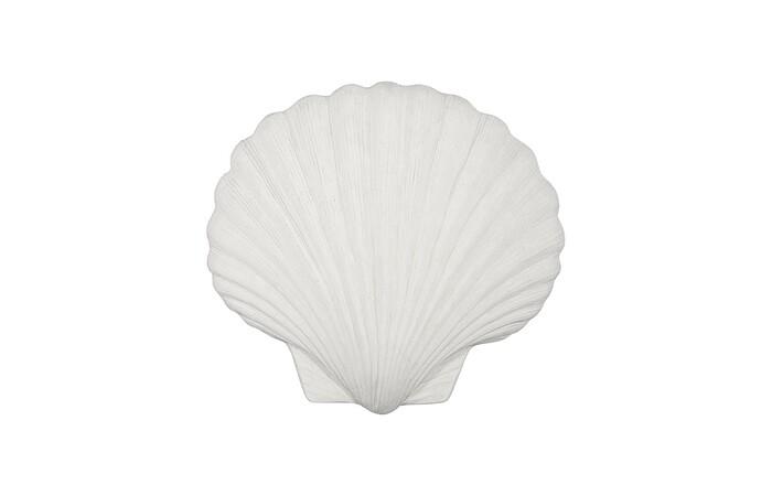 Sea Shell Wall Art, White Stone