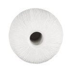 Vasti Vase, SM