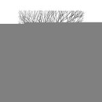 Wire Tree Wall Art, Rectangular, Metal, Black