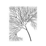 Wire Tree Wall Art, Rectangular, Metal, Black
