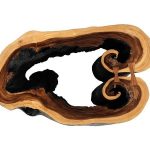 Chasm Coffee Table, Burnt Edge
