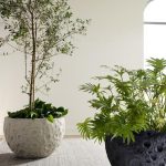 Crater Planter, Black Stone