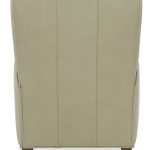Shaw Recliner