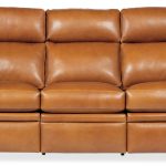 Oaklee Reclining Sofa with Power Headrest