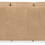 Oaklee Reclining Sofa with Power Headrest