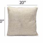 Pillow Outdoor 20x20 -Special Order