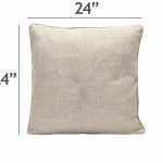 Pillow Outdoor 24x24 -Special Order