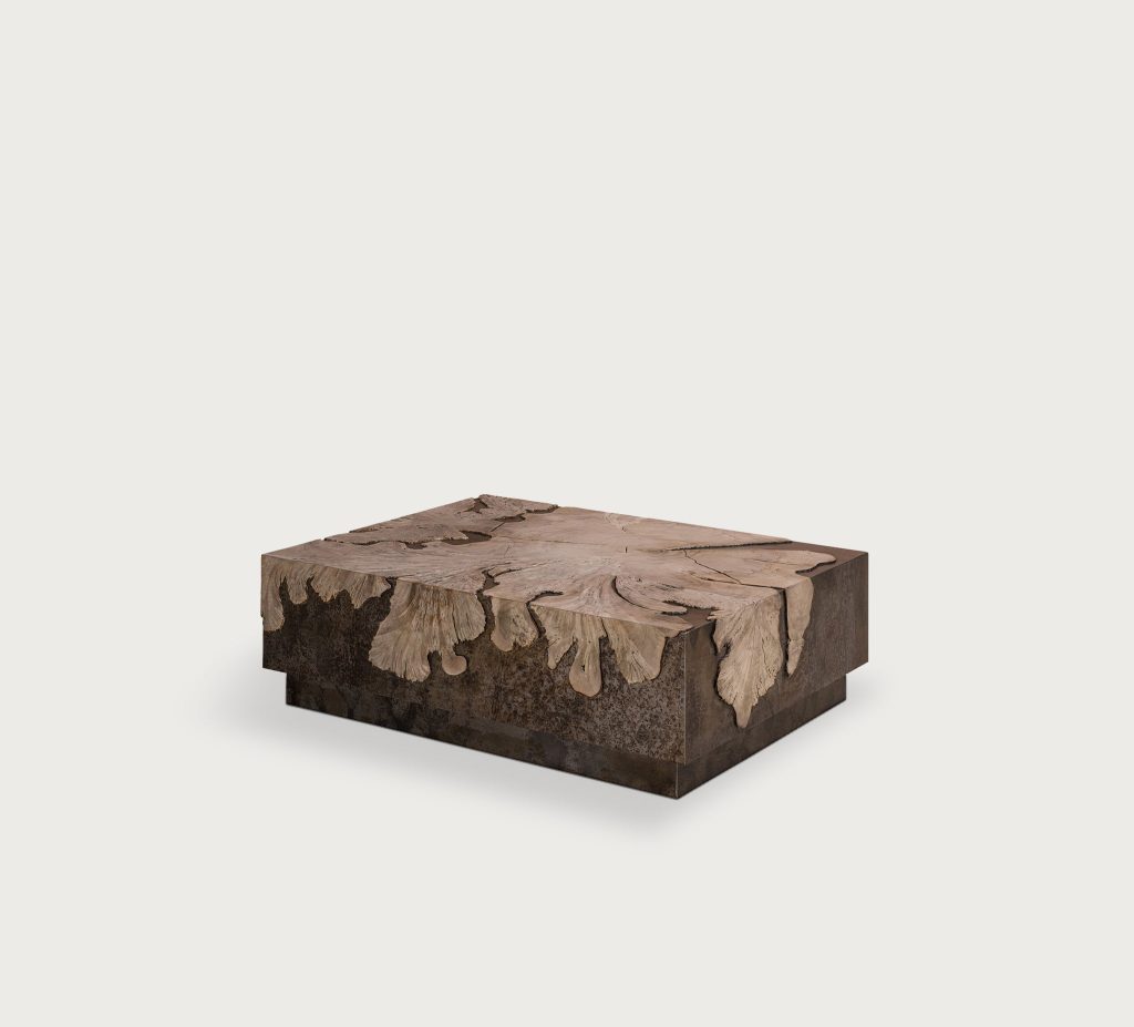 Milpa Vuelto Coffee Table