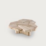 Chillida Coffee Table