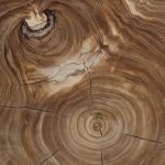 Mara Coffee Table