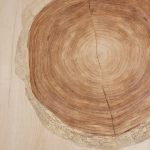 Mara Dining Table