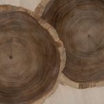 Mara Round Dining Table