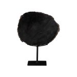 Petrified Wood Slice On Stand, Black, Assorted