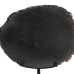 Petrified Wood Slice On Stand, Black, Assorted