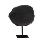 Petrified Wood Slice on Stand, Black, Assorted