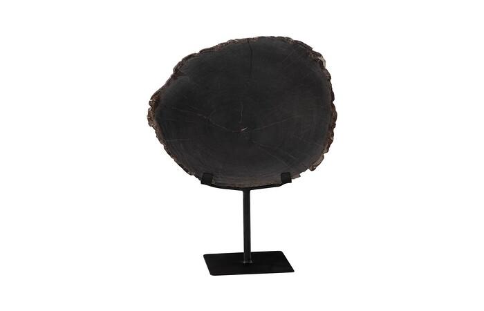 Petrified Wood Slice on Stand, Black, Assorted