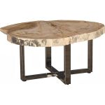 Petrified Wood Coffee Table, Stainless Steel Base, Assorted