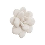 Laui Succulent Wall Art, White Stone