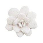 Laui Succulent Wall Art, White Stone