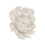 Topsy Turvy Succulent Wall Art, White Stone