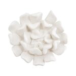 Topsy Turvy Succulent Wall Art, White Stone