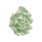 Topsy Turvy Succulent Wall Art, Jade