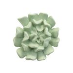 Topsy Turvy Succulent Wall Art, Jade