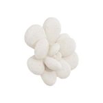 Oviferum Succulent Wall Art, White Stone
