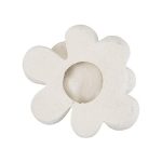 Oviferum Succulent Wall Art, White Stone