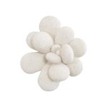 Oviferum Succulent Wall Art, White Stone