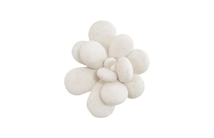 Oviferum Succulent Wall Art, White Stone