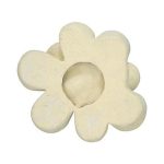 Oviferum Succulent Wall Art, Chartreuse