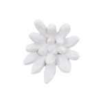 Compactum Succulent Wall Art, White Stone
