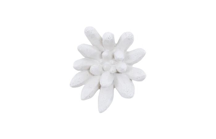 Compactum Succulent Wall Art, White Stone