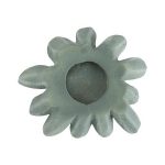 Compactum Succulent Wall Art, Forest