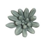 Compactum Succulent Wall Art, Forest