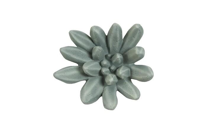 Compactum Succulent Wall Art, Forest