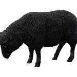 Sheep Sculpture, Gel Coat Black