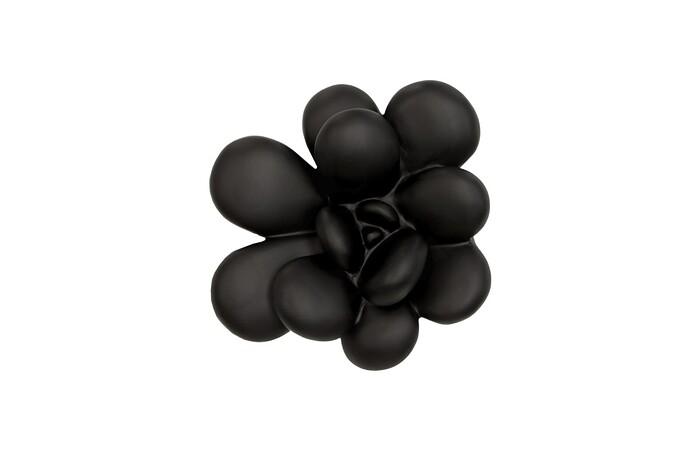 Oviferum Succulent Wall Art, Smooth Matte Black
