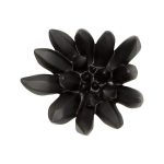 Compactum Succulent Wall Art, Smooth Matte Black