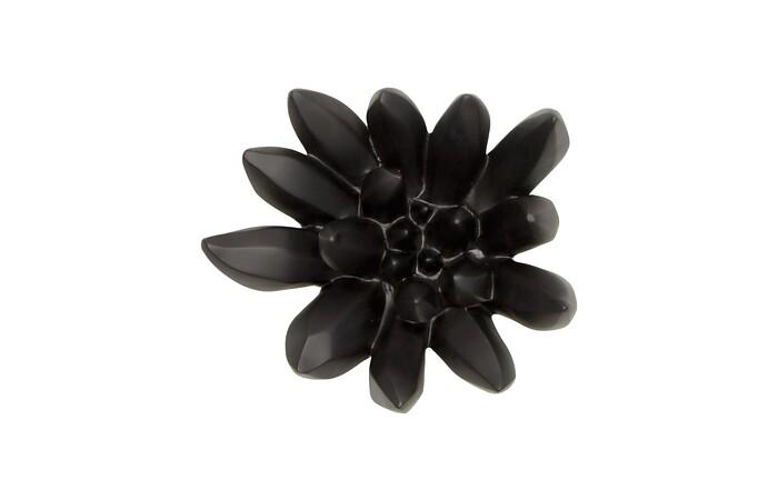 Compactum Succulent Wall Art, Smooth Matte Black