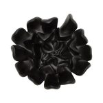 Topsy Turvy Succulent Wall Art, Smooth Matte Black