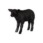 Texelaar Sheep, Lamb, Gel Coat Black