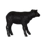 Texelaar Sheep, Lamb, Gel Coat Black