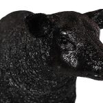 Texelaar Sheep, Lamb, Gel Coat Black