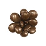 Oviferum Succulent Wall Art, Imperial Bronze